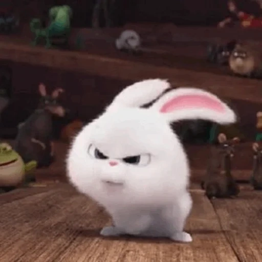 bola salju kelinci, kelinci kehidupan rahasia, kehidupan rahasia hewan peliharaan, hare secret life of pets, sedikit kehidupan kelinci hewan peliharaan