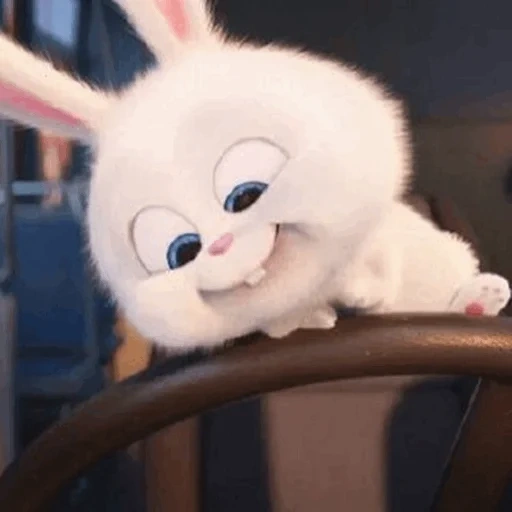 snowball di coniglio, il coniglio è dolce, la vita segreta degli animali domestici, little life of pets rabbit, rabbit snowball last life of pets 1