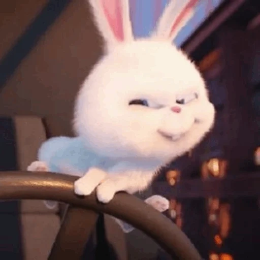 rabbit arrabbiato, vita segreta, snowball di coniglio, la vita segreta degli animali domestici, rabbit snowball last life of pets 1