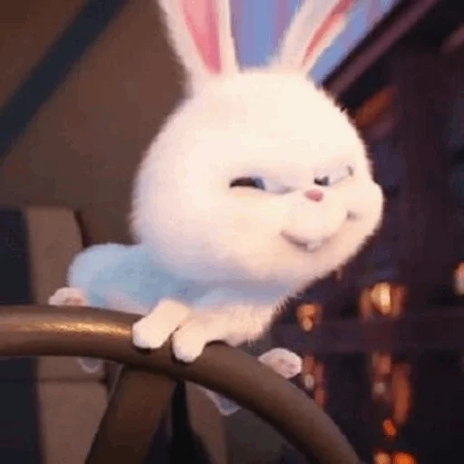 rabbit irritado, vida secreta, bola de neve de coelho, a vida secreta dos animais de estimação, rabbit snowball last life of pets 1