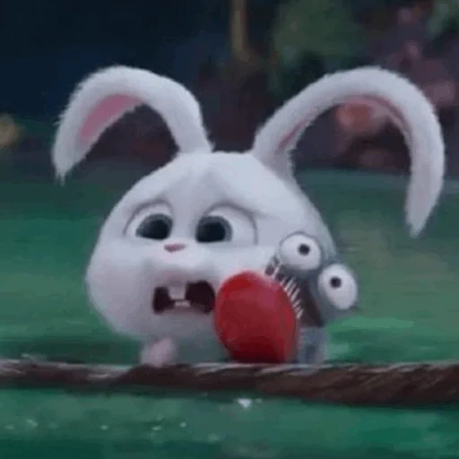 secret life, rabbit snowball, you yabota you, hare of cartoon rabbit snowball, the secret life of pets