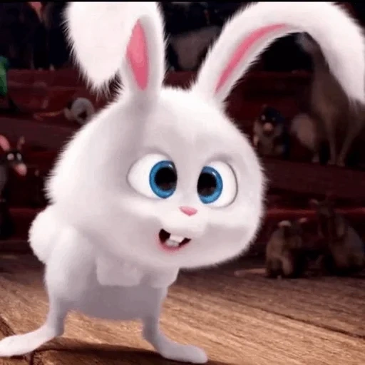 snowball rabbit, hare of cartoon rabbit snowball, white bunny cartoon secret life, secret life of pets hare snowball, last life of pets rabbit snowball