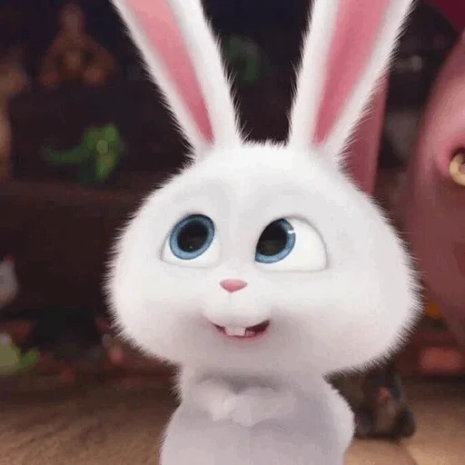 conejos de dibujos animados, cartoon rabbit secret life, la vida secreta de las mascotas liebre, pequeña vida de mascotas conejito, pequeña vida de mascotas conejo