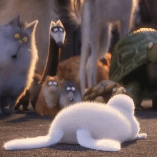 cat, the pack, the animals are cute, the secret life of pets, the secret life of pets dijit