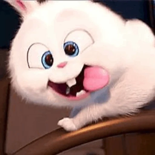 rabbit snowball, rabbit secret life, the secret life of pets, little life of pets rabbit, secret life of pets 1 snowball