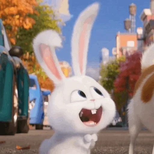 conejito zoobe, bola de nieve de conejo, dibujos animados de bola de nieve de conejo, la vida secreta de las mascotas liebre, pequeña vida de mascotas conejo