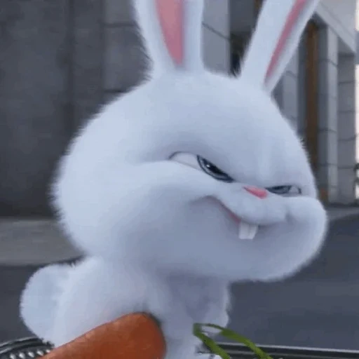 rabbit snowball, the hare of secret life, the secret life of pets hare, little life of pets rabbit, secret life of pets hare snowball