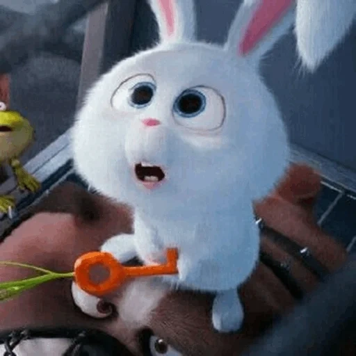 snowball rabbit, hare carrots of the cartoon, the secret life of pets, little life of pets rabbit, hare mf secret life of pets