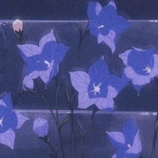 kegelapan, selamat malam, lima malam, bunga bel, bunga lonceng anime