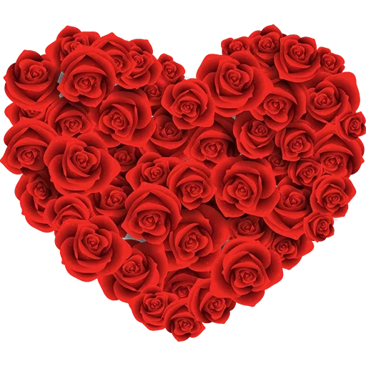 сердце роз, розы сердце, цветы сердце, красные розы, сердце красное