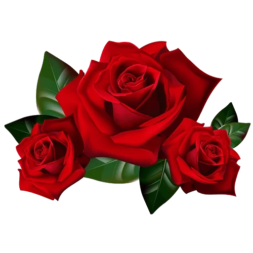 клипарт розы, розы прозрачном фоне, цветы прозрачном фоне, розочка прозрачном фоне, красные розы белом фоне