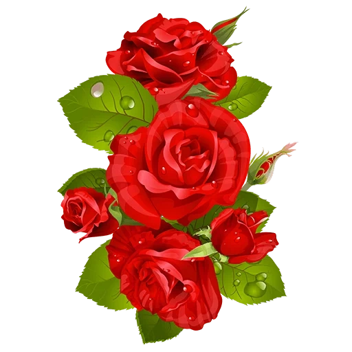 алые розы, красные розы, клипарт розы, розы прозрачном фоне, красные розы открытка