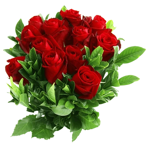 красная роза, красивый букет, цветы розы букеты, букет цветов розы, красные розы букет