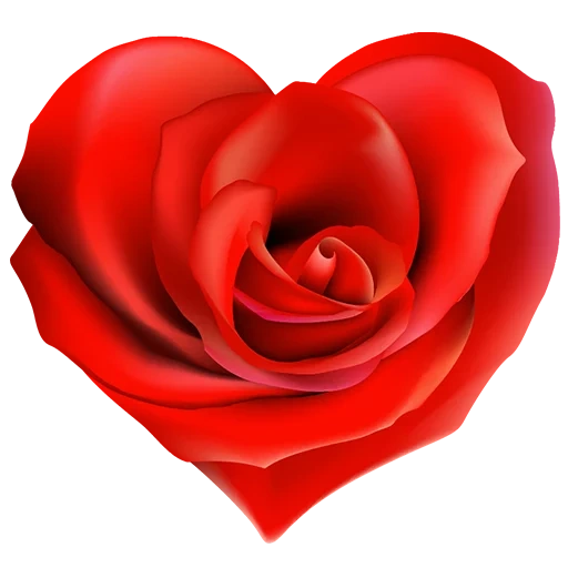 цветы розы, розы сердце, красная роза, сердечки розочки, сердечное спасибо