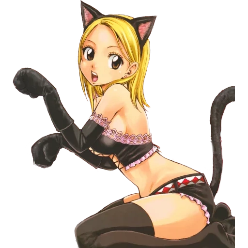 fairy tail of lucy tidak, lucy hartfilia some, kucing lucy hartfilia, fairy tail lucy hartfilia