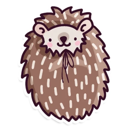 hedgehog-hedgehog, hedgehog hedgehog, hedgehog carino, bel riccio