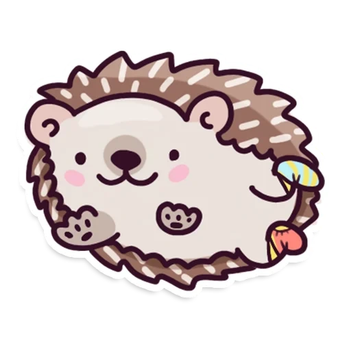 hedgehog-hedgehog, hedgehog carino, bel riccio