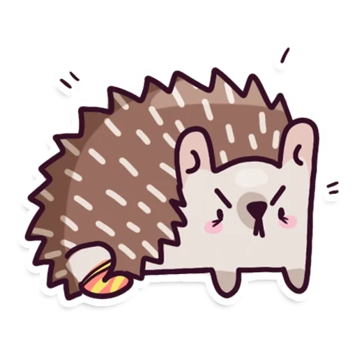 hedgehog-hedgehog, hedgehog carino, bel riccio