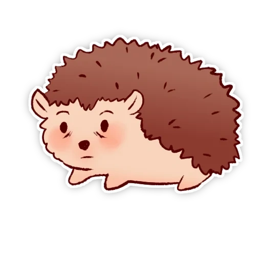 the hedgehog is sleeping, hedgehog vector, hedgehog illustration, cute hedgehog vector