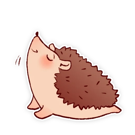 riccio, vettore di riccio, cartoon hedgehog, illustrazione del riccio, profilo di immagine del riccio