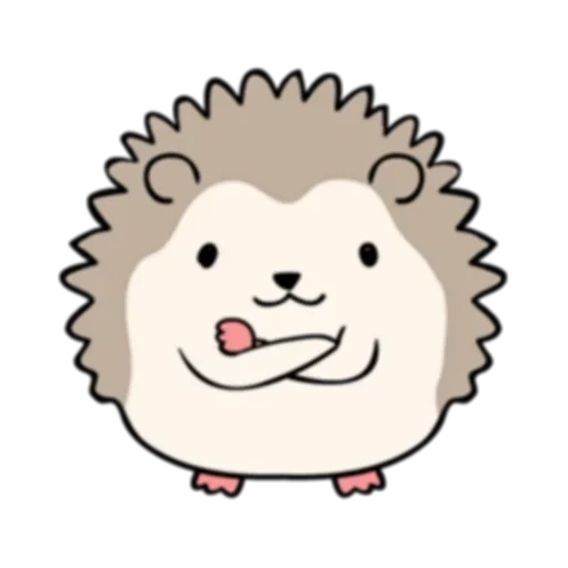 hedgehog, lovely hedgehog, kavai the hedgehog, hedgehog vector, hedgehogs are cute