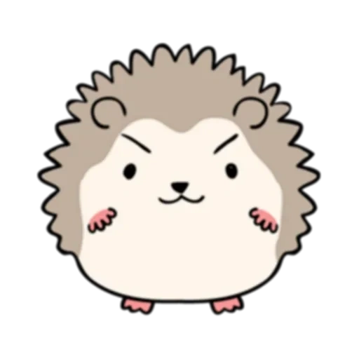 hedgehog, hedgehog hedgehog, lovely hedgehog, kavai the hedgehog