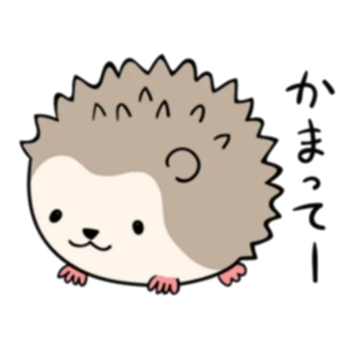 hedgehog, vecteur hérisson, les hérissons sont mignons, dessiner un hérisson, hedgehog sur fond blanc