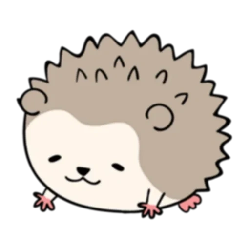 landak, lovely hedgehog, kawai landak, landak sangat lucu, landak berlatar belakang putih