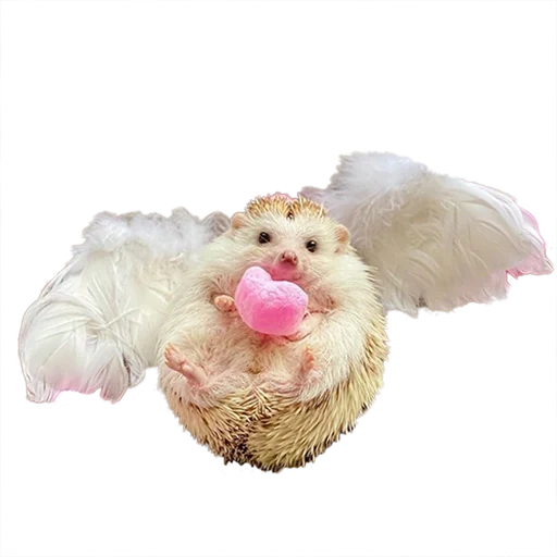 jouets, jouets, jouet interactif mouton, jouet en peluche keel toys pour chiot, jouet en peluche 1 jouet flip cochon et chien 12cm