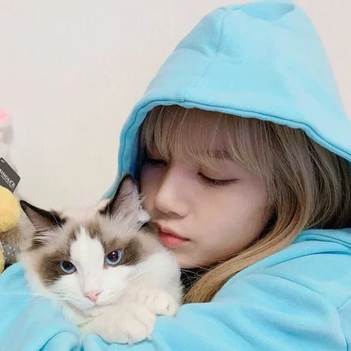 raja arthur, lalaalisa m, gadis-gadis cantik, alexander sanygin, kucing lalisa manoban