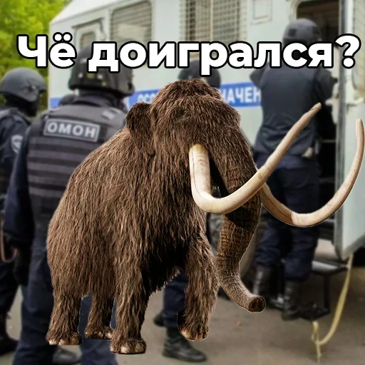 mammut, animale mammut, mammut lanoso, il periodo di ghiaccio mammoth, museo darwin mammoth