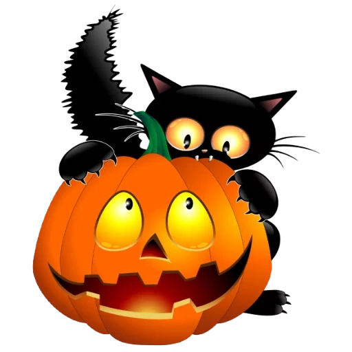 halloween, gato de halloween, gato de halloween, black cat halloween, las postales de halloween son geniales