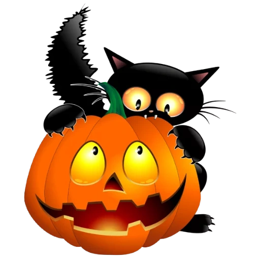 halloween, halloween katze, die halloween-katze, schwarze katze halloween, halloween postkarten sind cool