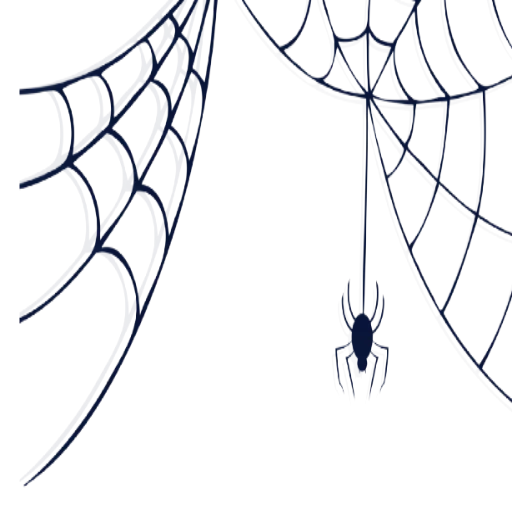 cobweb, spider web with white background, spider web black and white, cobweb with transparent background, web without photoshop background