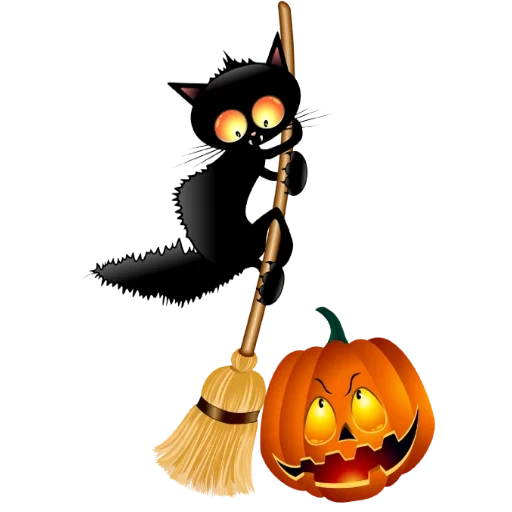 halloween, halloween cat, halloween cat, cat halloween, halloween witch pumpkin broom