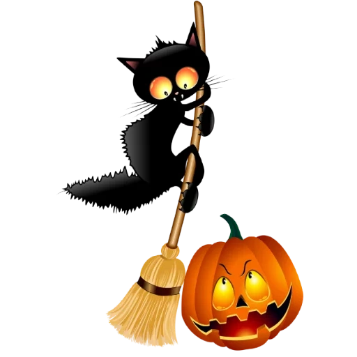 halloween, gatto di halloween, gatto di halloween, halloween del gatto, scopa di zucca strega di halloween