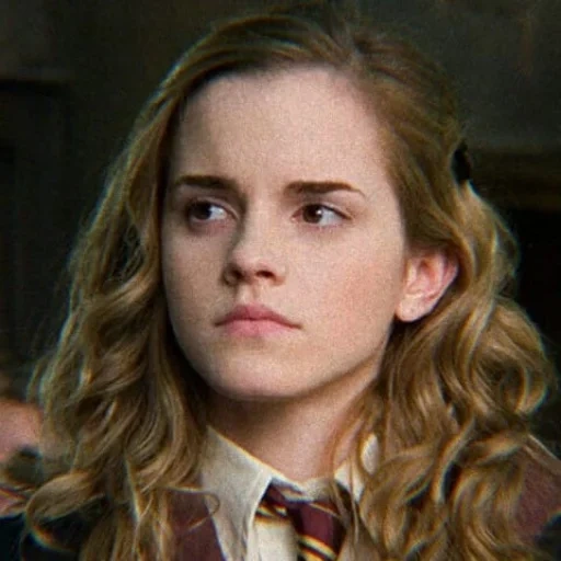 harry potter, hermione granger, harry potter d'hermione, harry potter par hermione granger, hermione granger ordre du phénix