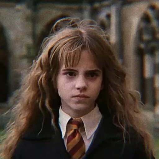 harry potter, hermione granger, hermione granger harry potter, ruang rahasia hermione granger, harry potter hermione secret room