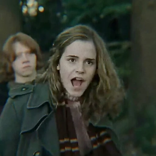 harry potter, hermione harry, hermione granger, hermione's goblet of fire, i'm not hermione's owl