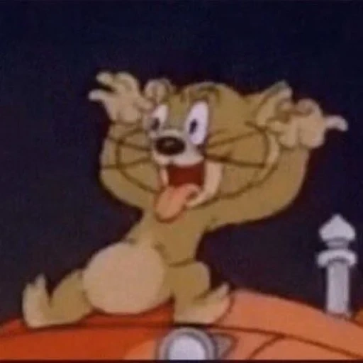 il-2, tom jerry, tom jerry the mouse, jerry is teasing tom, tom jerry jerry lion