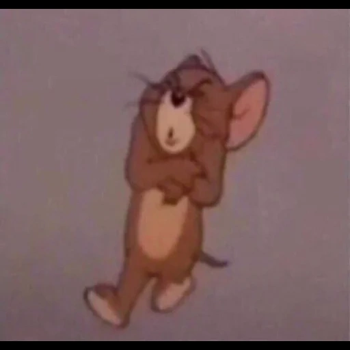 jerry, tom jerry, jerry mouse, jerry cartoon, il mouse morso di jerry