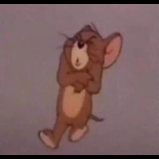 jerry, tom jerry, jerry maus, jerry cartoon, die gebissene maus von jerry