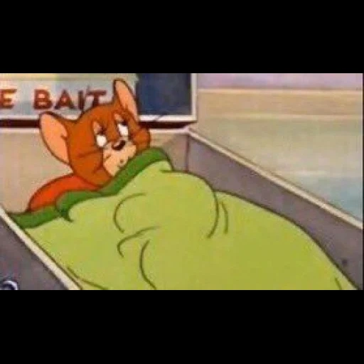 gato, jerry mem, tom jerry, jerry está durmiendo, jerry tom jerry