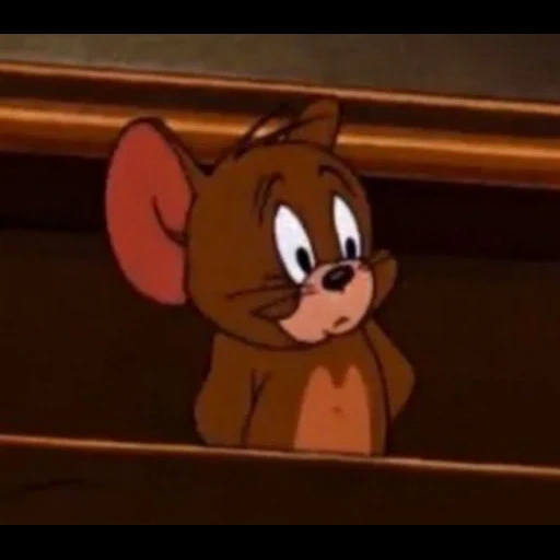 tom jerry, jerry mill, la petite souris de jerry, tom jerry jr, tom jerry jerry kimbo