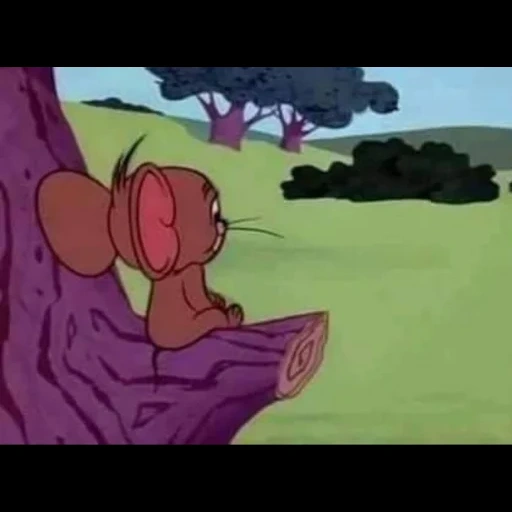 tom jerry, tom jerry debido a patito, patito triste tom jerry, cartoon pink panther 1993