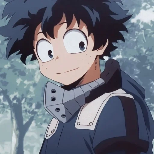 hero academia, midoriya izuku, hero academy, my heroic academy, hero academy of anime