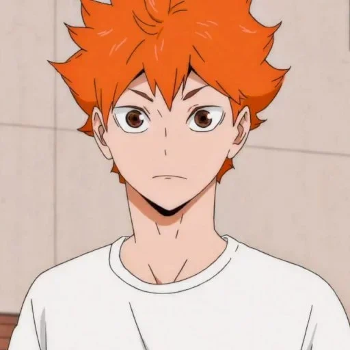 haikyuu, hinatian shouyang, hinata shoyo, bola voli sinata, anime sinata volleyball