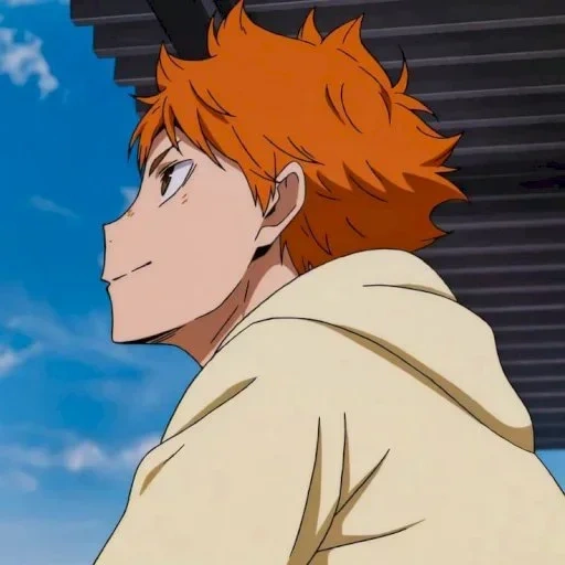 haikyuu, hinata shouyou, hinata volleyball, shinata pense au volleyball, anime volleyball saison 1 sous-titres