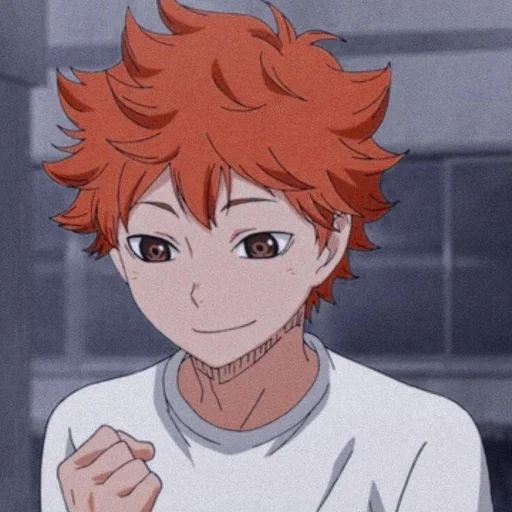 imagen, hinata shoyo, hinata shouyou, haikyu hinata, personajes haikyuu