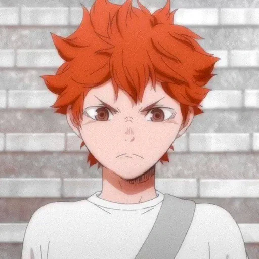 haikyuu, hinatian shouyang, hinata shouyou, karasuno sinata, bola voli sinata